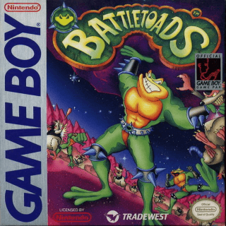 Battletoads & Double Dragon: The Ultimate Team