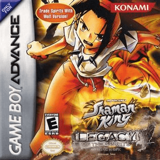 Shaman King: Legacy of the Spirits, Soaring Hawk — обложка