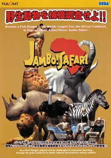Jambo! Safari