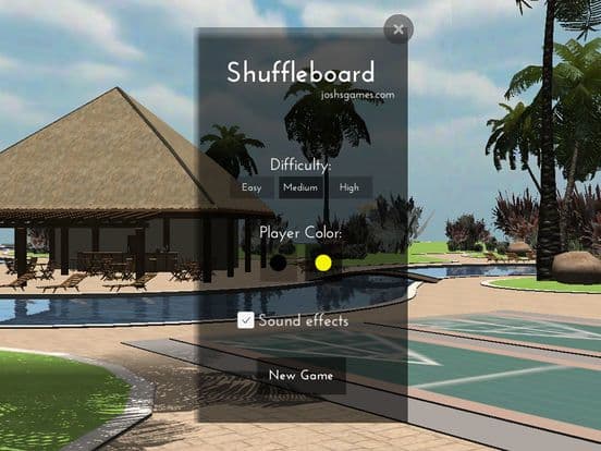 Shuffleboard