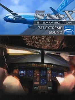 737 Flight Simulator