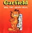 Garfield: Big Fat Hairy Deal